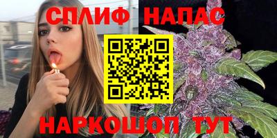 дживик Моздок